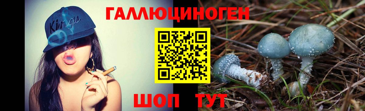 Галлюциногенные грибы MAGIC MUSHROOMS  Вход с VPN  Казань 